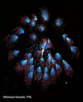 floral shell of shells_red spangle
